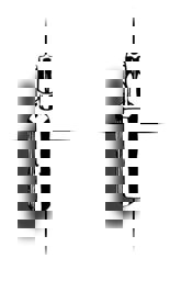 Show details for SecuFast 6-Lobe Pin Bit TX-30 Picture of SecuFast 6-Lobe Pin Bit TX-30